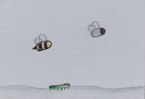 Versió final de l'eruga acompanyada d'una mosca i abella.