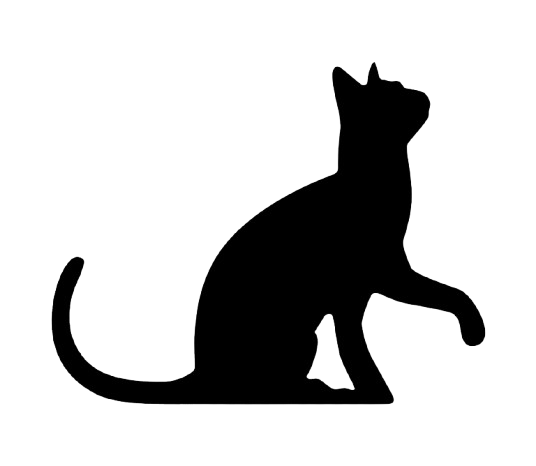 gato